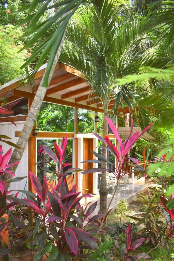 Fuego Lodge Playa Santa Teresa  Ngoại thất bức ảnh